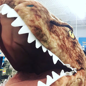 Meet your Posher, Cookiewolves2